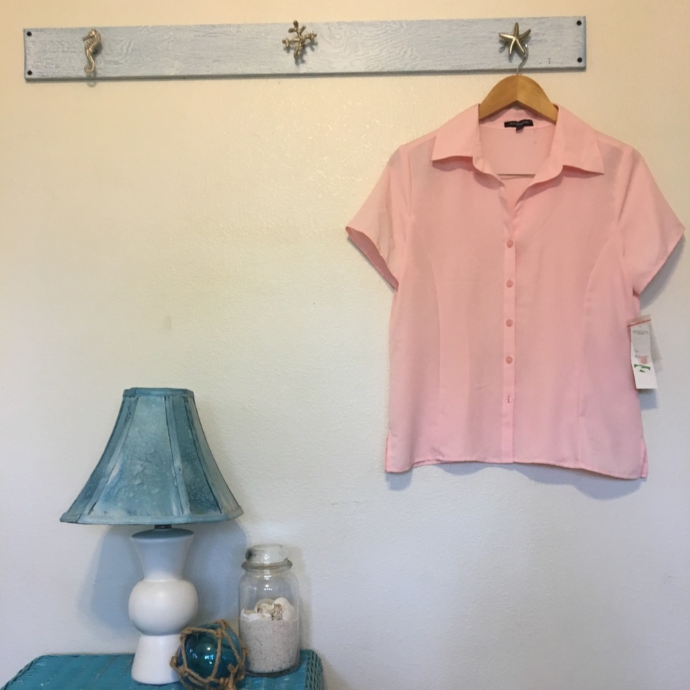 Pink Notations Button Down - NWT